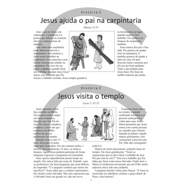 13 HISTÓRIAS BÍBLICAS SOBRE JESUS (Mini-Bíblia em Feltro volume 5)